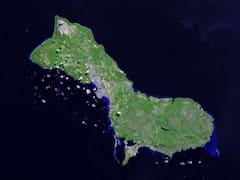 En 1947, abandonaron un animal en medio de una isla del Pacífico. 40 años después, desaparecieron 10 especies de aves y los científicos no podían creerlo