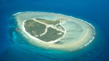 En 1969, un piloto de avión llevó agua a una isla devastada: más de 50 años después, el escenario dejó a los científicos helados
