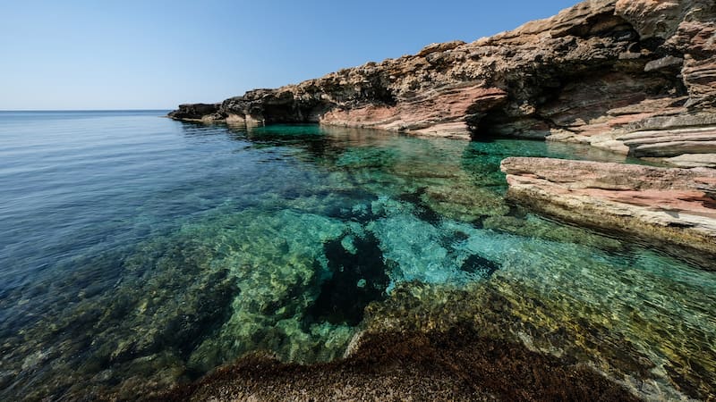 Vivir en una isla paradisíaca de Nueva Zelanda sin pagar alojamiento.
