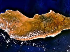 Así es la isla más rara del mundo: posee Sangre de Dragón y más de 300 especies únicas