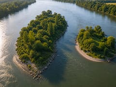 Un multimillonario estadounidense compró tres islas de América del Sur e hizo algo inesperado: las donó a un país de la región