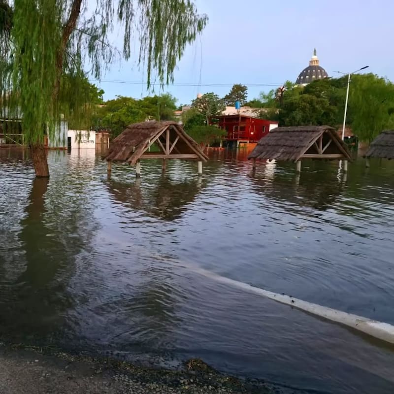 Los trabajadores rurales cayeron al agua mientras ponían ganado a resguardo en una isla; unas 650 personas dejaron sus casas en la provincia.