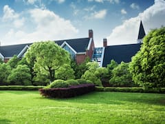 Ideal para jardines pequeños: el árbol frutal que brota todo el año, proporciona sombra, no levanta el suelo y soporta sequías