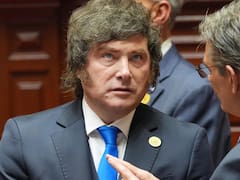 De la erosión de imagen al empate técnico: así se movió el humor social con Milei en agosto