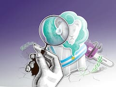 Milei versus los resultados de Milei
