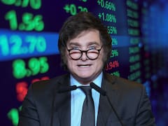 Inflación, reservas, dólar y actividad: qué ven dos gigantes de Wall Street para la próxima etapa del plan Milei