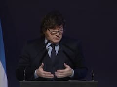 ¿Llega la curva que ilusiona a Milei? El consumo masivo empezó a reaccionar