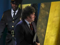 Milei, frente al espejo de Scaloni: ¿qué hacer cuando se quede sin su Messi?