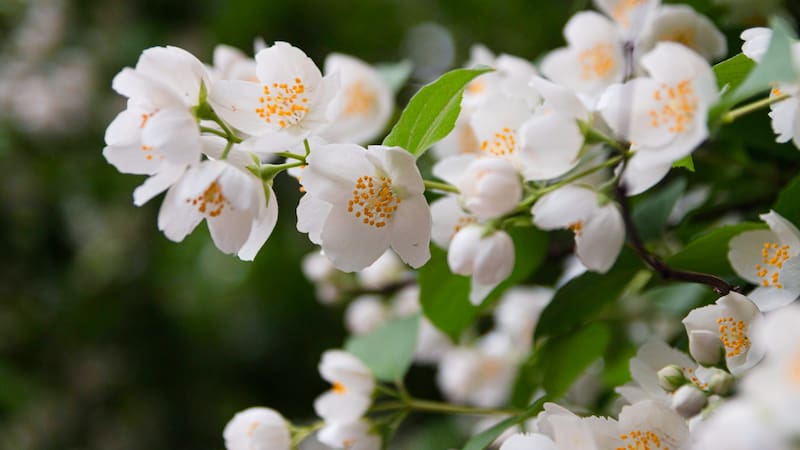 Esto provoca que la duración del día y la noche en España sea prácticamente igual.