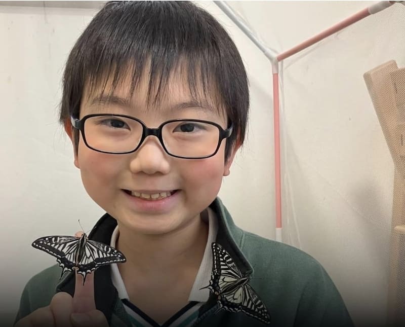 Jo Nagai comenzó a criar mariposas en su infancia y convirtió esa afición en una investigación sobre la memoria durante la metamorfosis.