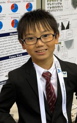 Un niño de 10 años crió mariposas desde su metamorfosis. Lo que descubrió tras años de observación dejó helados a los científicos