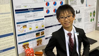 Un niño de 10 años crió mariposas desde su metamorfosis. Lo que descubrió tras años de observación dejó helados a los científicos