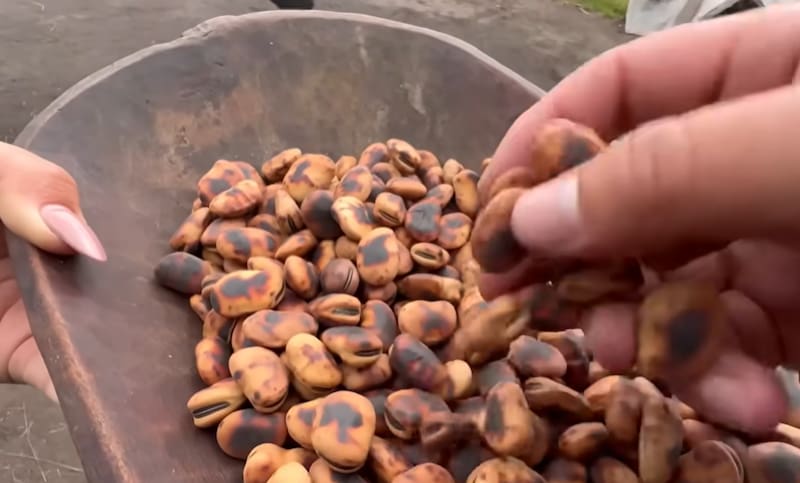 Durante la pandemia de Covid-19, la familia de Juanito atribuyó parte de su fortaleza a los alimentos que producían y consumían. ( captura de pantalla)