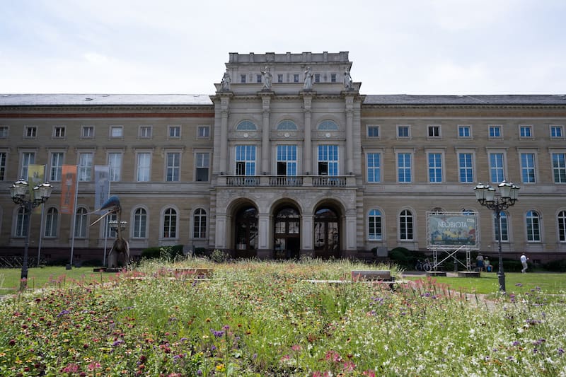El fósil se encontraba en exhibición en el Staatliches Museum für Naturkunde de Stuttgart.