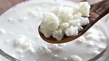 Adiós al SIBO: el “oro blanco” que equilibra la microbiota, mejora la digestión y alivia la salud intestinal