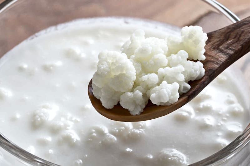 El kefir es un fermento tradicional que se puede realizar de forma casera.
