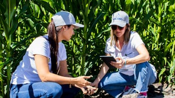 Esta climatech ayuda a gigantes como FEMSA, PepsiCo y Microsoft a devolver agua a las cuencas más estresadas de México