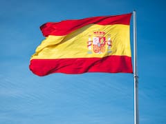 El CIS pone nota al Gobierno: Cuerpo lidera con 5,27 y Marlaska cae a 3,84