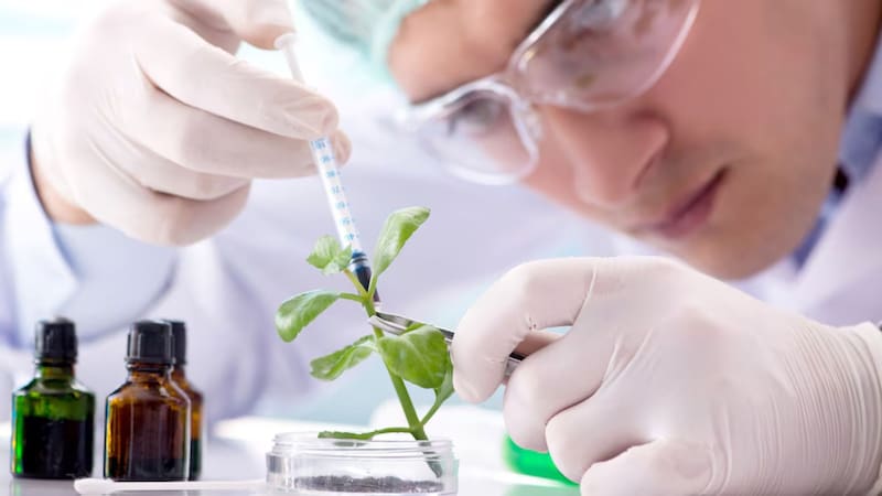 La carrera que más conviene estudiar: hay trabajo asegurado y está entre las mejor pagadas. Foto: Shutterstock