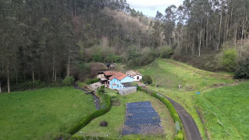 La casa de Tere, ubicada en una localidad abandonada en Asturias.