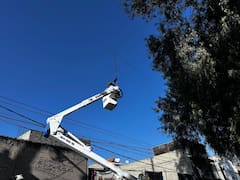 Casa por casa | La CFE confirmó que sus operadores revisarán medidores de forma domiciliaria por estos tres motivos