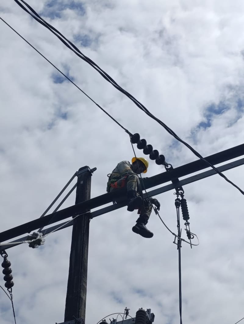 La CFE detalló los motivos de posibles visitas casa por casa de personal técnico