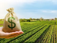 Cada vez más empresas aprovechan campos en precios “máximos” y los venden para bajar deuda
