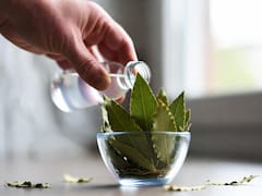 Mezclar vinagre blanco y hojas de laurel: para qué sirve y por qué lo recomiendan
