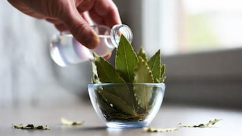 Mezclar vinagre blanco y hojas de laurel: para qué sirve y por qué lo recomiendan