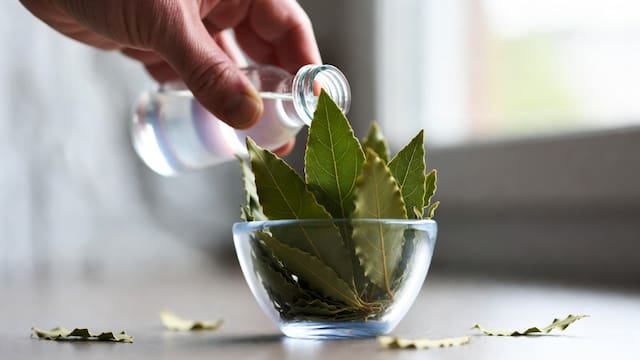 Mezclar vinagre blanco y hojas de laurel: para qué sirve y por qué lo recomiendan