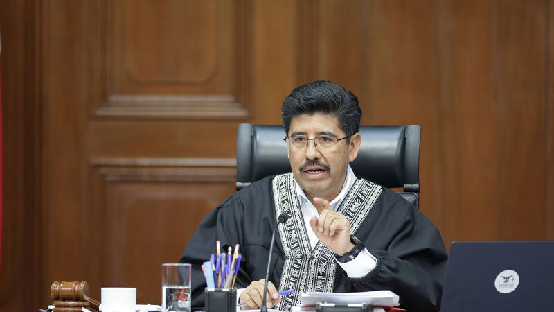 La decisión del tribunal tuvo origen tras los Amparos en Revisión 230 y 328/2025, y marca un precedente.