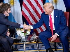 Exportaciones argentinas a EE.UU.: récord histórico de u$s 8338 millones en 2025 sin acuerdo comercial