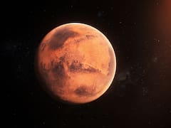 Encuentran misteriosos “arándanos” en la superficie de Marte y la NASA está desconcertada