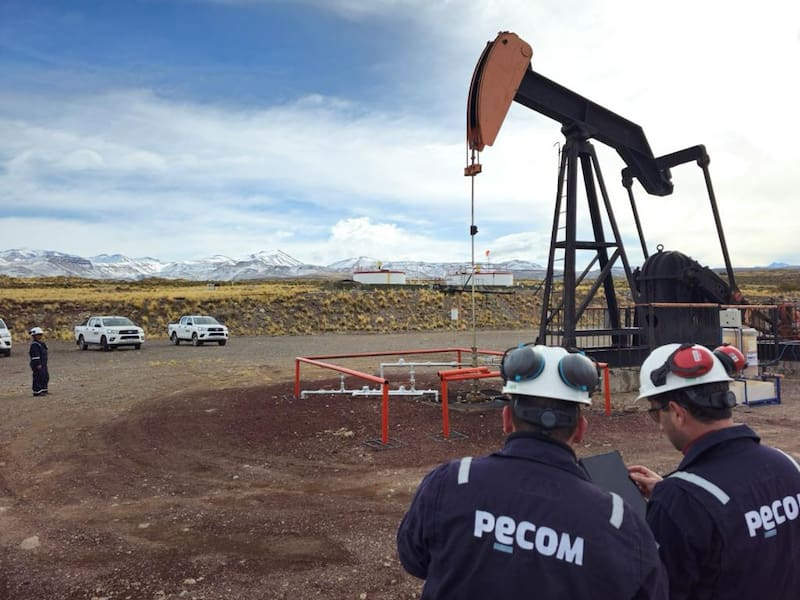 La energética del grupo Perez Companc tiene nuevo CEO: quién es el elegido