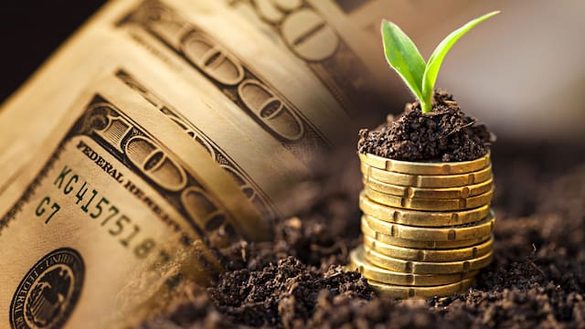 Dólares por las orejas: estiman que el BCRA acumulará u$s 7000 millones