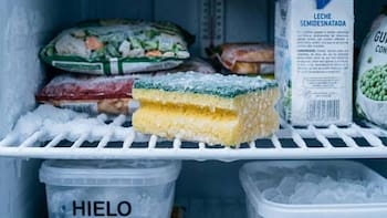 Poner una esponja dentro del refrigerador: por qué lo recomiendan y para qué sirve