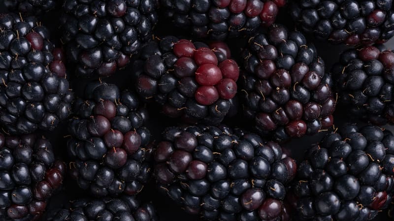 La fruta cargada de colágeno que desinflama las articulaciones y disminuye la aparición de arrugas
Fuente: Shutterstock