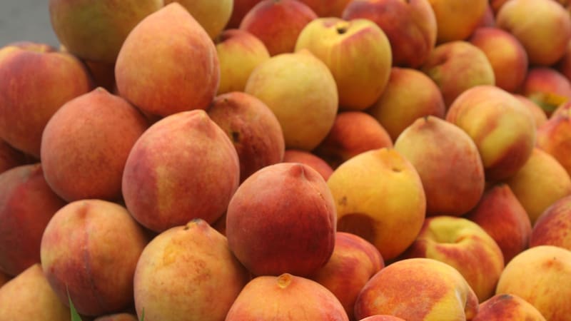 La fruta ideal para el verano que está repleta de líquido, es antioxidante y ayuda a eliminar el colesterol malo
Fuente: Shutterstock