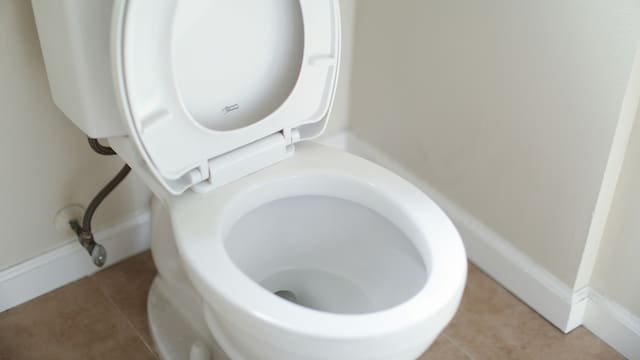Por qué nunca hay que tirar la cadena del inodoro con la tapa levantada. Es un peligro