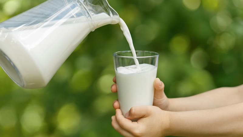 La leche es un alimento rico en calcio y proteínas. Fuente: archivo.