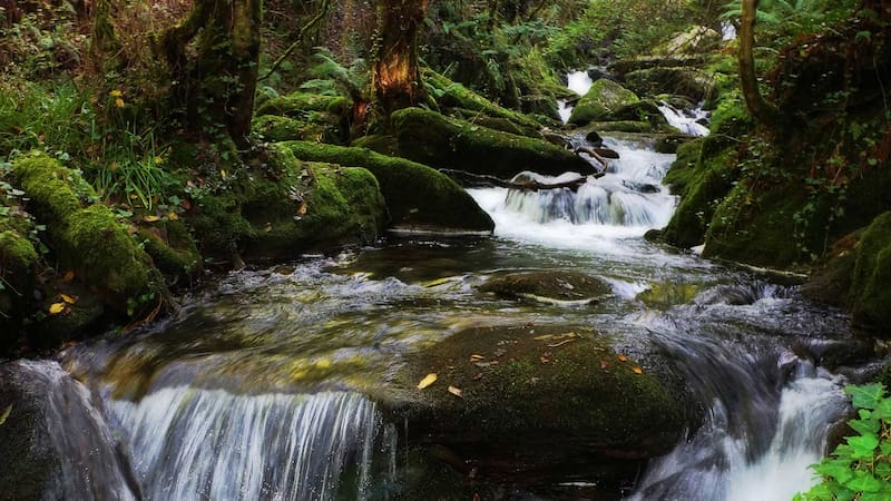 La leyenda milenaria del dragón en la villa medieval de Galicia