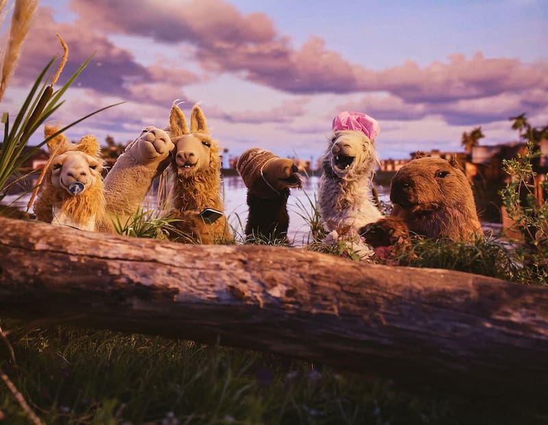 La Llama que Llama, disponible a partir del 27 de febrero en Flow.