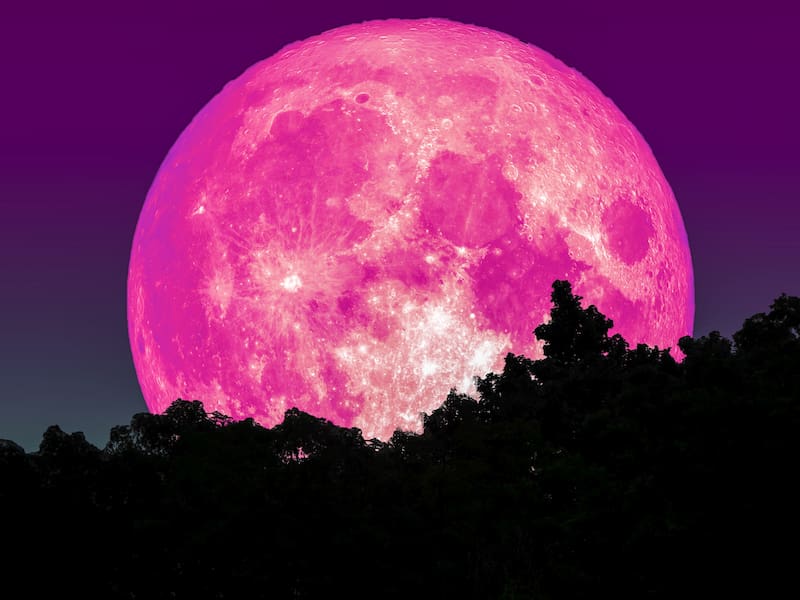 La Luna Rosa de abril 2026 iluminará el cielo marcando la llegada de la primavera en el hemisferio norte.
