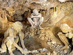 Hallazgo del siglo | Encontraron un cráneo de hace 300.000 años que no es humano y la respuesta es escalofriante