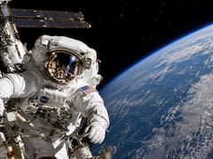 La NASA busca voluntarios para vivir como astronauta durante 14 meses: ofrece alojamiento y exige pocos requisitos