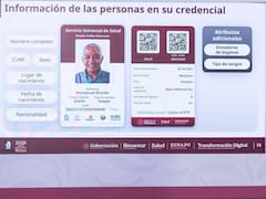 Nuevo documento de identidad oficial: comenzará a aplicarse este 13 de abril y será necesario para acceder a servicios básicos