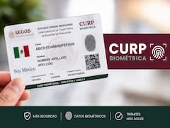 Ya es oficial | El Gobierno de México tramitará la CURP biométrica sin cita a quienes tengan este documento