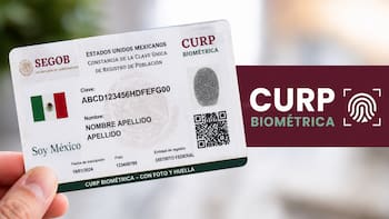 Ya es oficial | El Gobierno de México tramitará la CURP biométrica sin cita a quienes tengan este documento