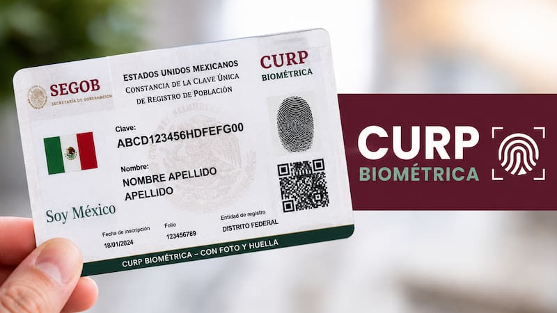 La nueva modalidad permitirá agilizar el trámite de la CURP biométrica para miles de ciudadanos en México. El Gobierno confirmó que quienes cuenten con cierto documento vigente, podrán realizar el proceso sin necesidad de sacar cita previa.