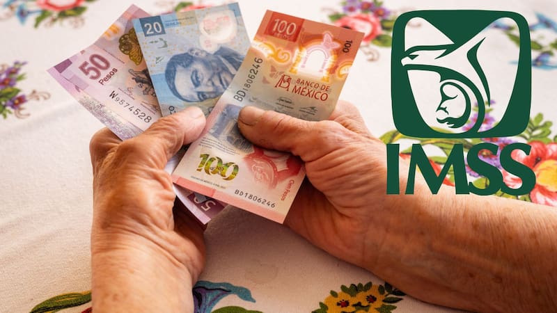 La opción está dirigida principalmente a trabajadores independientes y personas que laboran por cuenta propia, quienes pueden obtener cobertura médica y otros beneficios al realizar el pago correspondiente.